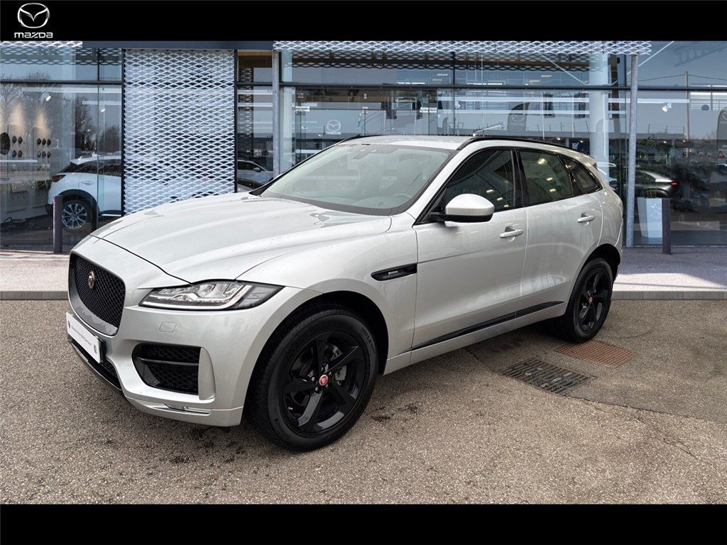 jaguar - Visuel 0