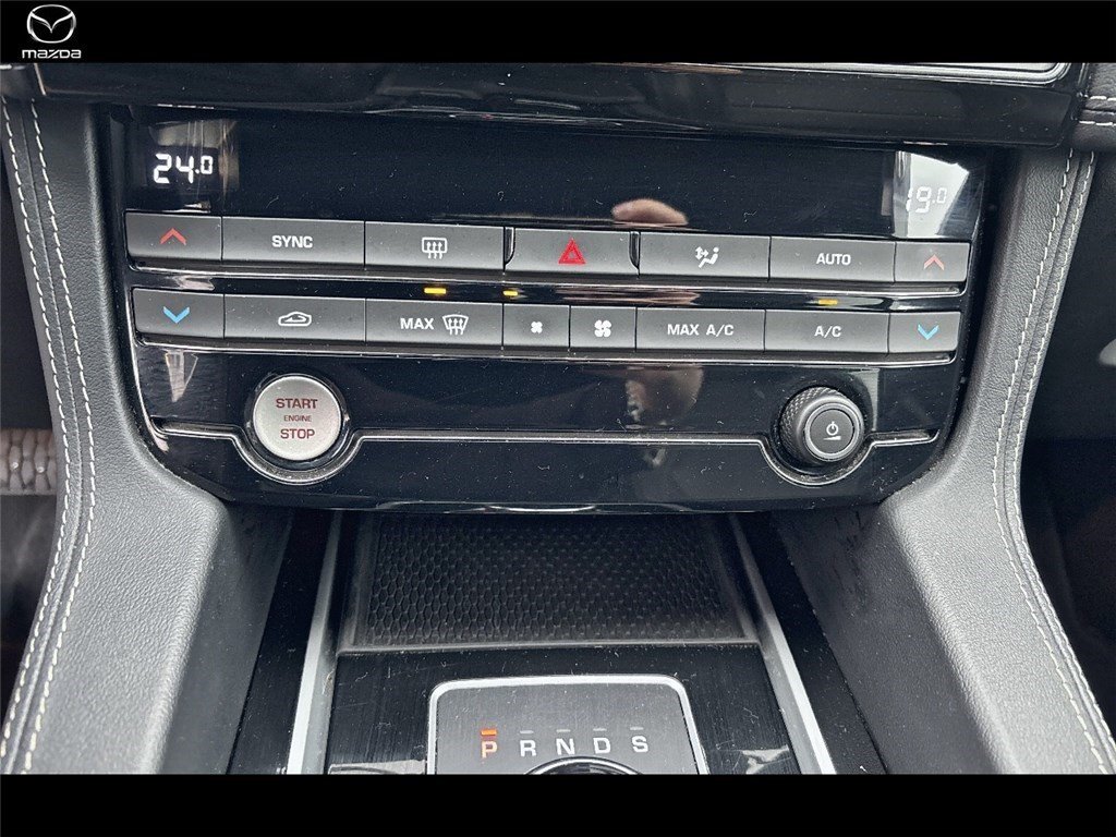 jaguar - Visuel 10