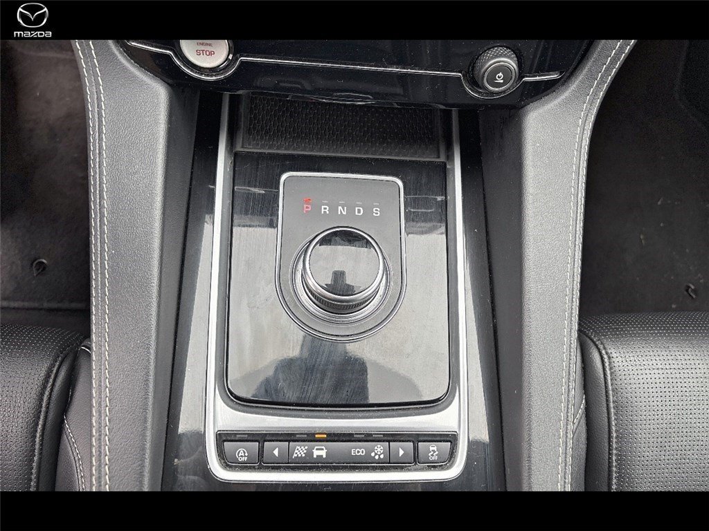 jaguar - Visuel 11