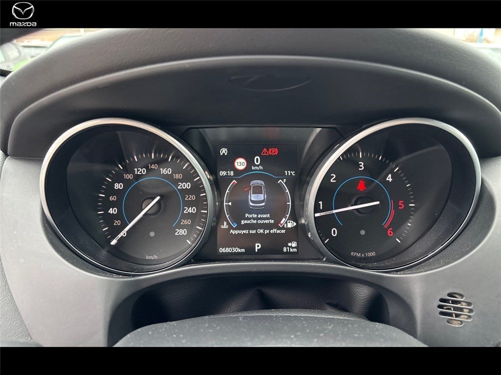 jaguar - Visuel 13