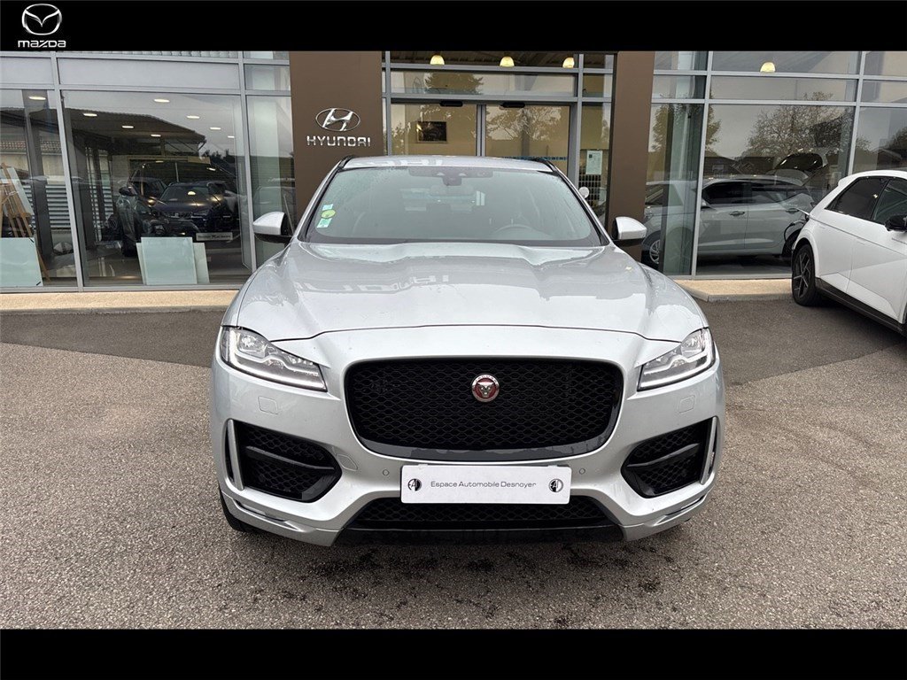 jaguar - Visuel 1