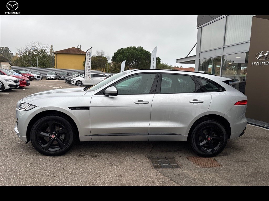 jaguar - Visuel 3