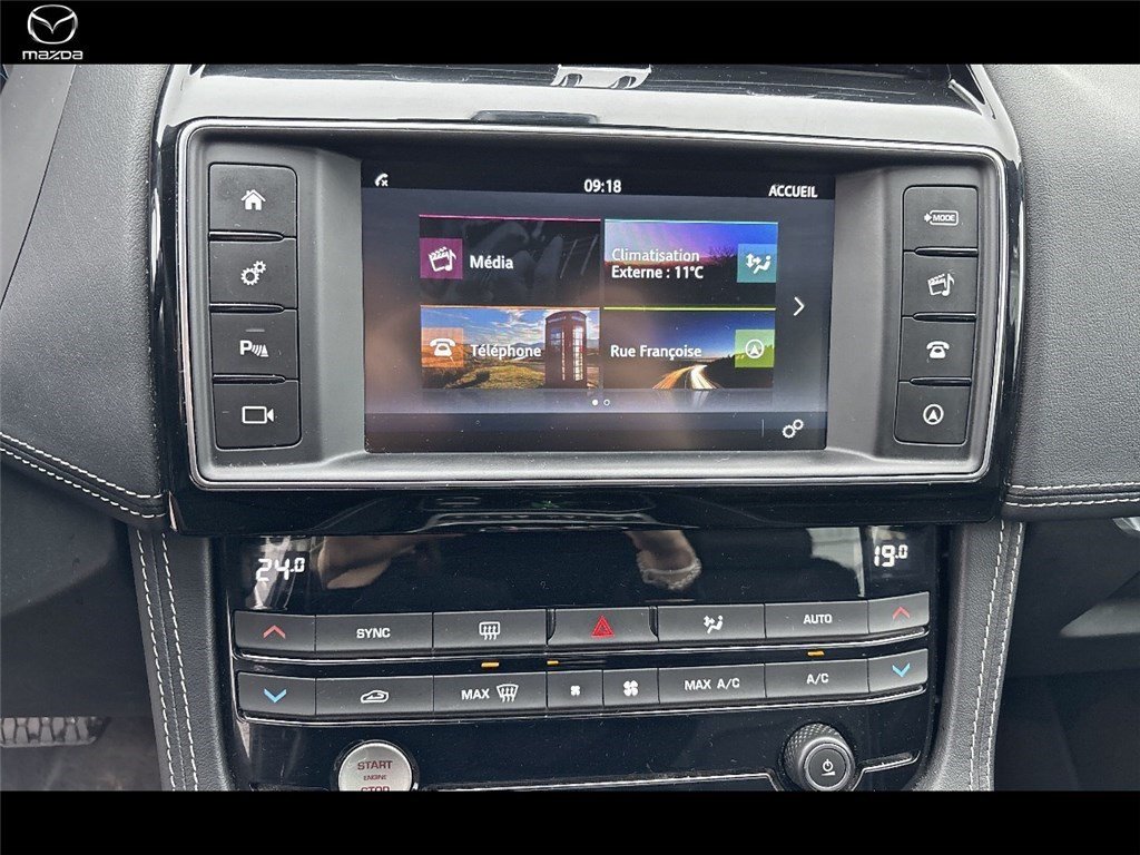 jaguar - Visuel 8
