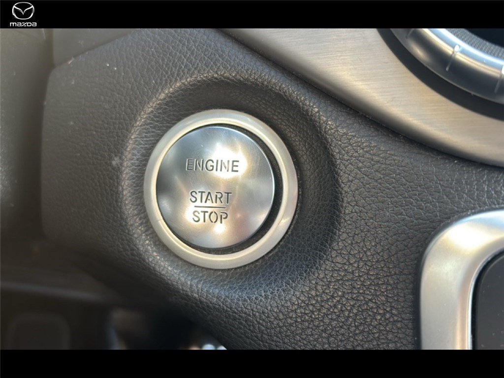 mercedes - Visuel 15