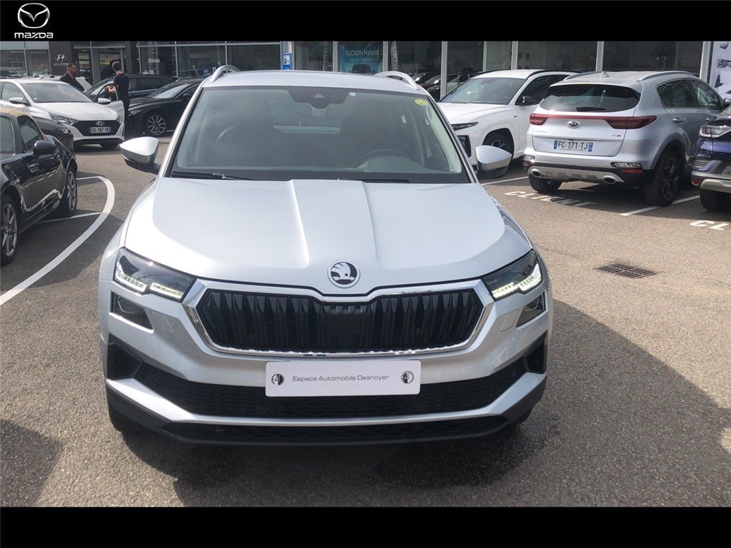 skoda - Visuel 1